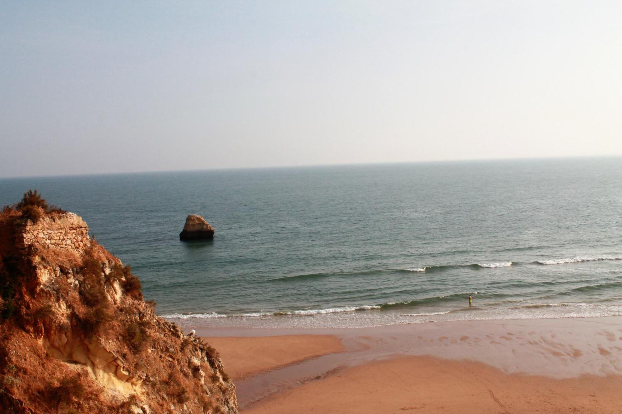 Praia Da Rocha, Vila Rosa, T1, Piscinas, Parqueamento E Internet By Ig Портіман Екстер'єр фото